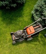 Tenant Guide To Garden Maintenance